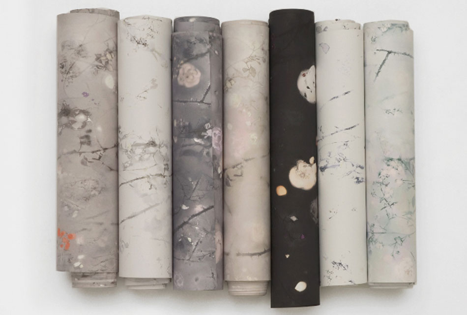 Anna Dove hand printed Wallpapers, Fabrics, and Accessories :  floral anna dove printed wallpaper accessories